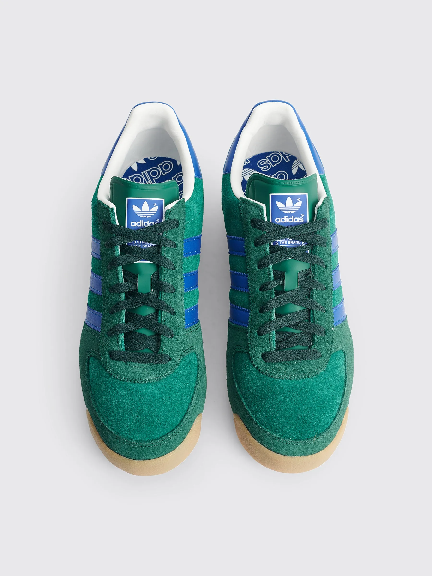 adidas Originals All Team Collegiate Green / Pantone