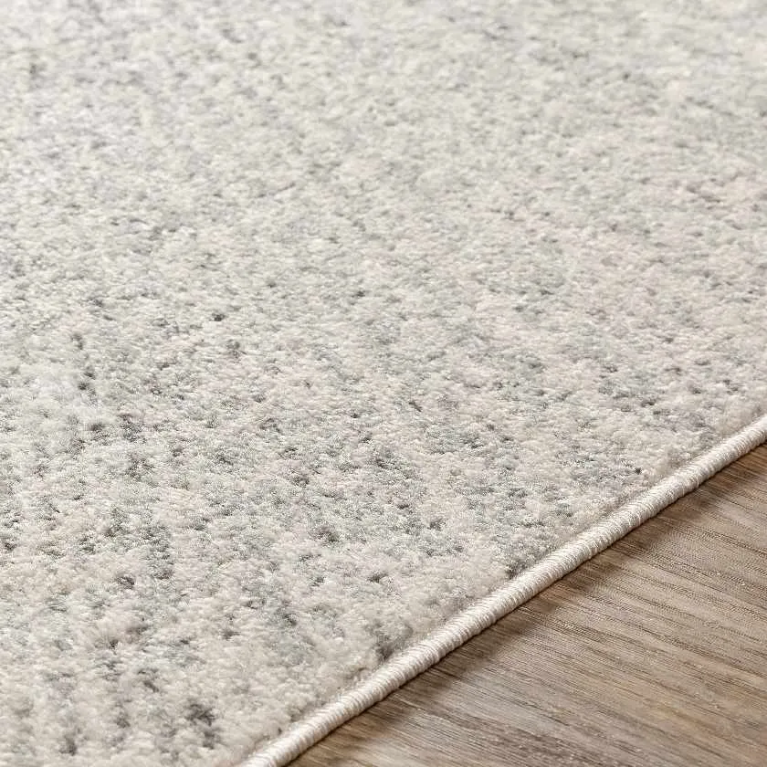 Rnesshe Modern Area Rug